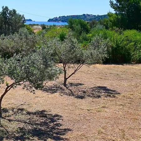 Olive Flavor Sensation At Holiday home *